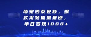 萌宠炒菜视频,爆款视频流量暴涨,单日变现1k-知乎者也