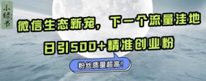 微信生态新宠小绿书:下一个流量洼地,日引500+精准创业粉,粉丝质量超高-知乎者也