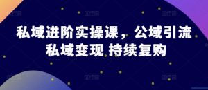 私域进阶实操课,公域引流 私域变现 持续复购-知乎者也
