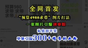小红书“预算4980带我飞”图片打法,一张图片引爆创业粉,私信回不完,单条引流300+精准创业粉-知乎者也