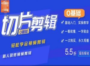 0基础IP切片剪辑,轻松学会视频剪辑,新人玩转视频剪辑-知乎者也