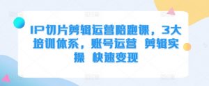 IP切片剪辑运营陪跑课,3大培训体系,账号运营 剪辑实操 快速变现-知乎者也