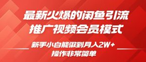 闲鱼引流推广影视会员,0成本就可以操作,新手小白月入过W+【揭秘】-知乎者也