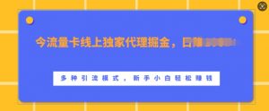 流量卡线上独家代理掘金,日入1k+ ,多种引流模式,新手小白轻松上手【揭秘】-知乎者也
