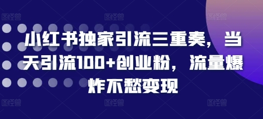 小红书独家引流三重奏,当天引流100+创业粉,流量爆炸不愁变现【揭秘】-知乎者也