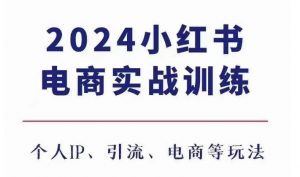 2024小红书电商3.0实战训练,包含个人IP、引流、电商等玩法-知乎者也