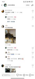 小红书私人定制图项目,附赠一单4W渠道【揭秘】-知乎者也