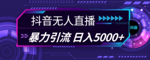 抖音快手视频号全平台通用无人直播引流法，利用图片模板和语音话术，暴力日引流100+创业粉【揭秘】-知乎者也