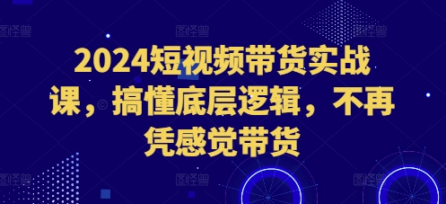 2024短视频带货实战课，搞懂底层逻辑，不再凭感觉带货-知乎者也