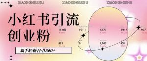 小红书私域引流无脑操作法:AI生成内容,粉丝自动转化,新手轻松日引500+创业粉-知乎者也