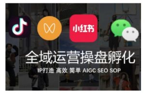 全域运营操盘(抖音+私域+小红书),IP打造高效简单-知乎者也