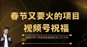 春节又要火的项目视频号祝福,分成计划+带货双收益,轻松月入几个W【揭秘】-知乎者也