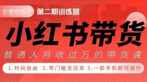 小Red书带货42天训练营 2.0版,宝妈+自由职+上班族+大学生,提高副业收入的大红利项目-知乎者也