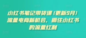 小红书笔记带货课(更新12月)流量电商新机会,抓住小红书的流量红利-知乎者也