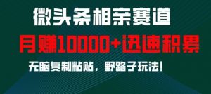 微头条相亲赛道，迅速积累，无脑复制粘贴，野路子玩法，月入1w-知乎者也