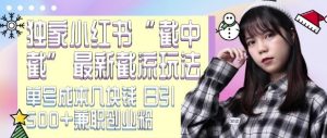 最新小红书截流玩法 独家截中截 单号成本几块钱 日引500+CY粉JZ粉-知乎者也