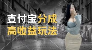 支付宝分成计划新玩法,利用交通事故视频,赚收益,轻松月入过W,操作简单【揭秘】-知乎者也
