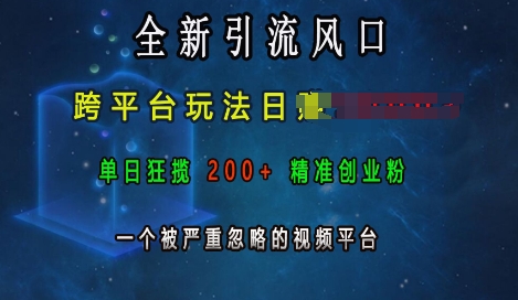 全新引流风口,跨平台玩法日入上k,单日狂揽200+精准创业粉,一个被严重忽略的视频平台-知乎者也