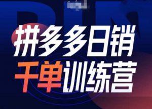 拼多多日销千单训练营第31期-微付费带免费流玩法-知乎者也
