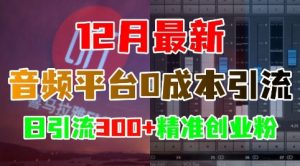 12月最新:音频平台0成本引流,日引流300+精准创业粉-知乎者也