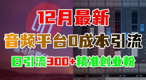 12月最新:音频平台0成本引流,日引流300+精准创业粉-知乎者也