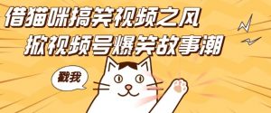借猫咪搞笑视频之风,掀视频号爆笑故事潮,轻松日入四位数,无门槛快速入门!-知乎者也