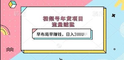 视频号年货项目,流量贼猛,早布局早挣钱,日入上k【揭秘】-知乎者也