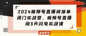 2024视频号直播间爆单闭门实战营,视频号直播间3天闪电实战课-知乎者也