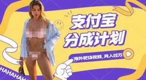 利用海外靶场射击视频,挣支付宝分成收益,轻松月入过W【揭秘】-知乎者也