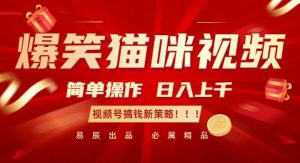 爆笑猫咪视频:简单操作,日入过K,视频号搞钱新策略【揭秘】-知乎者也