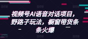 视频号AI语音对话项目,野路子玩法,橱窗带货条条火爆-知乎者也
