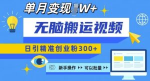 无脑搬运视频号可批量复制,新手即可操作,日引精准创业粉300+,月变现过W 【揭秘】-知乎者也