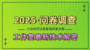 2025问卷调查最新工作室技术解密:一个人在家也可以闷声发大财,小白一天2张,可矩阵放大【揭秘】-知乎者也
