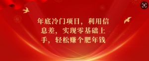 年底冷门项目，利用信息差，实现零基础上手，轻松赚个肥年钱【揭秘】-知乎者也