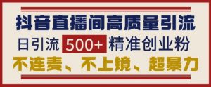 抖音直播间引流创业粉，无需连麦、不用上镜、超暴力，日引流500+高质量精准创业粉-知乎者也