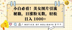 小白必看,美女图片引流秘籍,日涨粉无数,轻松日入几张【揭秘】-知乎者也