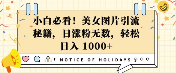 小白必看,美女图片引流秘籍,日涨粉无数,轻松日入几张【揭秘】-知乎者也