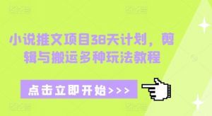 小说推文项目38天计划，剪辑与搬运多种玩法教程-知乎者也