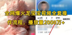 全网爆火龙宝宝视频全套操作流程,播放量2000万+-知乎者也
