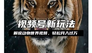 利用动物世界解说视频,赚分成计划收益,轻松月入过W,操作简单【揭秘】-知乎者也