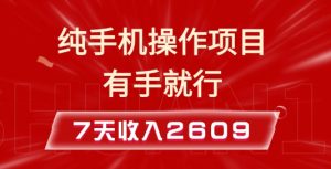 纯手机操作的小项目,有手就能做,7天收入2609+实操教程【揭秘】-知乎者也