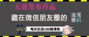 藏在微信朋友圈的流量密码,无需发布作品,单日引流100+精准创业粉【揭秘】-知乎者也
