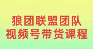 狼团联盟2024视频号带货,0基础小白快速入局视频号-知乎者也