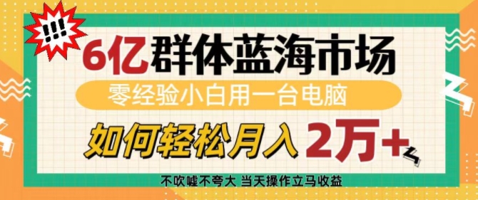 6亿群体蓝海市场,零经验小白用一台电脑,如何轻松月入过w【揭秘】-知乎者也