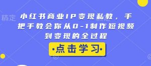 小红书商业IP变现私教,手把手教会你从0-1制作短视频到变现的全过程-知乎者也