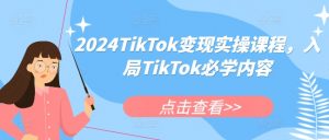 2024TikTok变现实操课程，入局TikTok必学内容-知乎者也