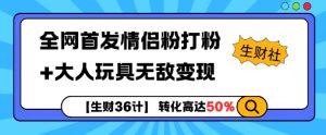 【生财36计】全网首发情侣粉打粉+大人玩具无敌变现-知乎者也
