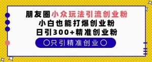 朋友圈小众玩法引流创业粉,小白也能打爆创业粉,日引300+精准创业粉【揭秘】-知乎者也