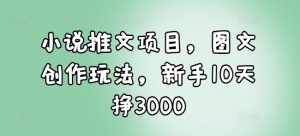 小说推文项目，图文创作玩法，新手10天挣3000-知乎者也