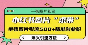 小红书图片‘求带’爆火引流法,单张图片引流500+精准创业粉【揭秘】-知乎者也